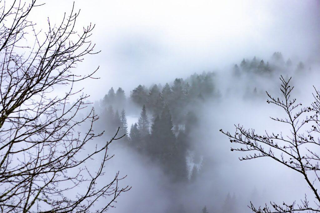 Vogezen in de mist