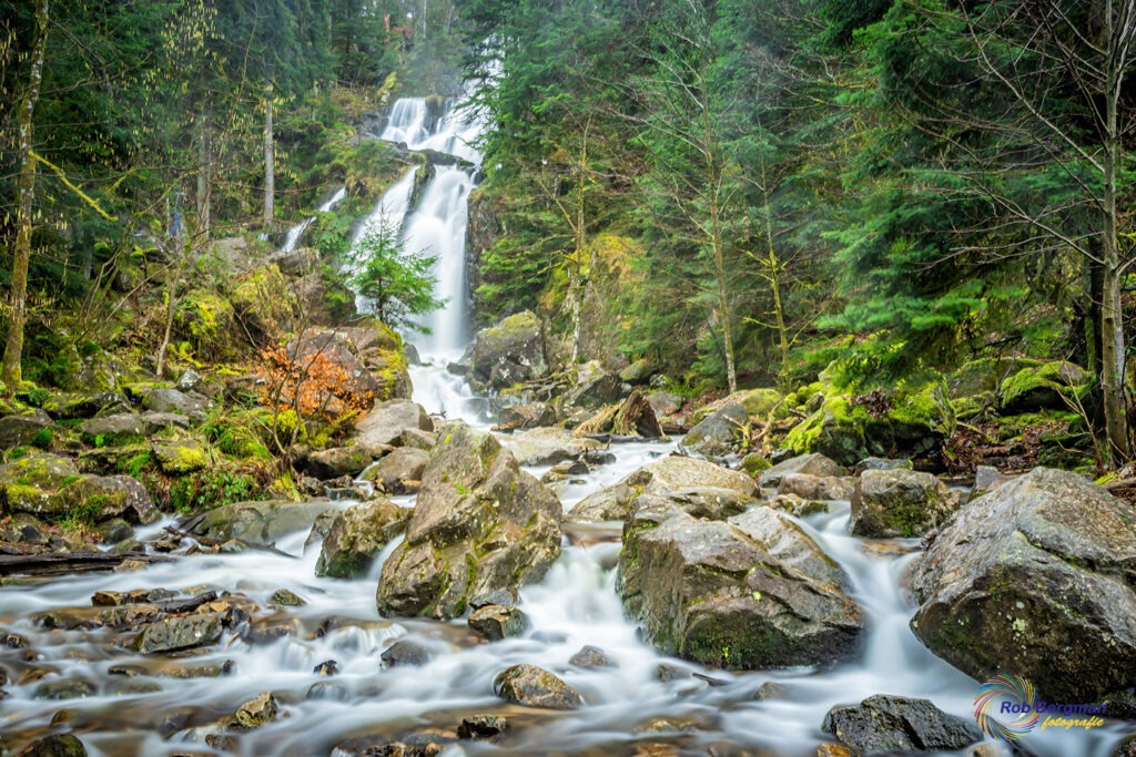 538A6725-2-topaz2-denoise-sharpen